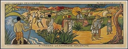 campagnemalgache-large-effect-autolevels-21-1 The Bourbon vanilla of Madagascar  